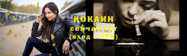 крисы Аша
